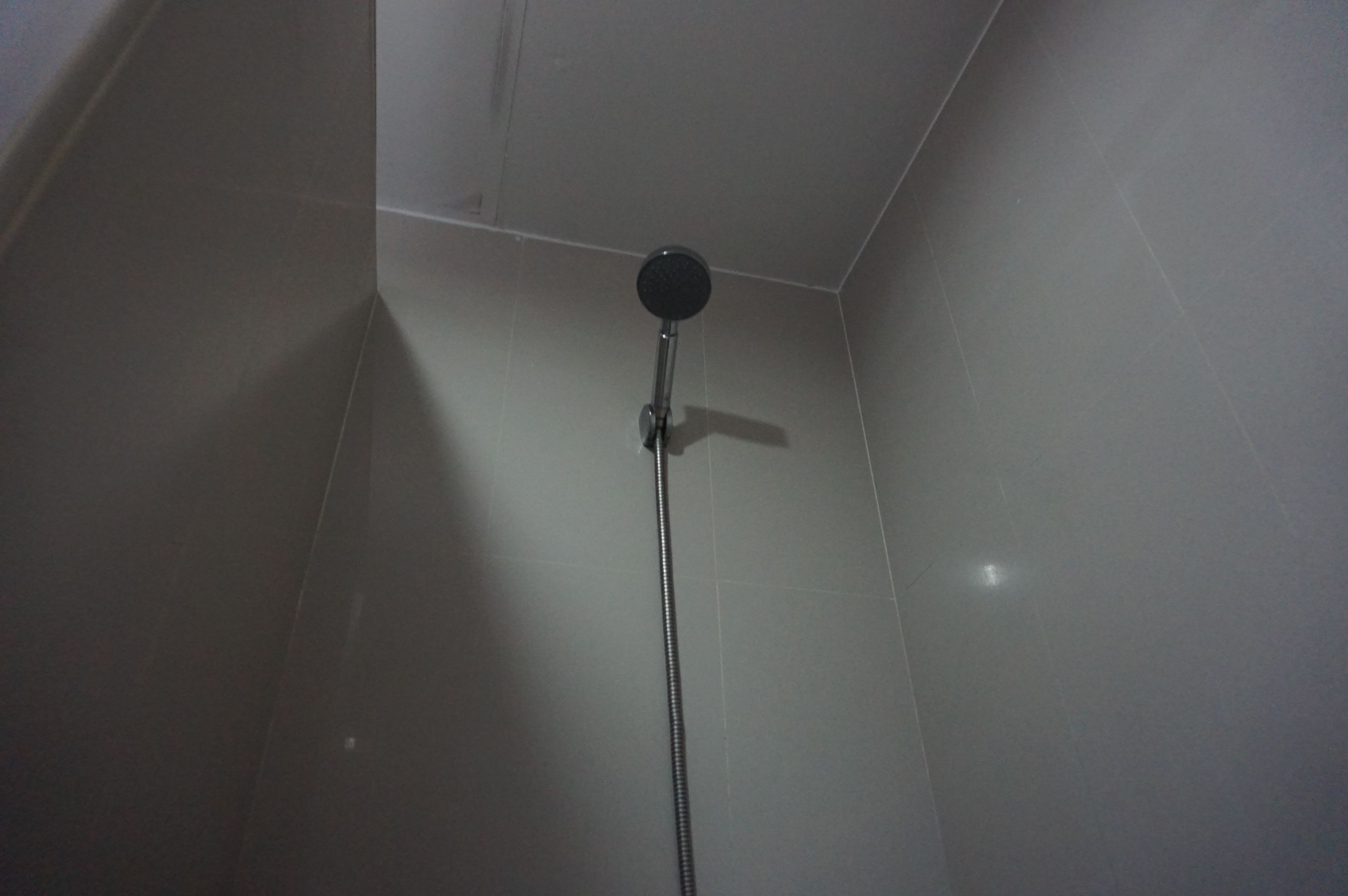 Een douche met een handdouche aan de wand bevestigd.