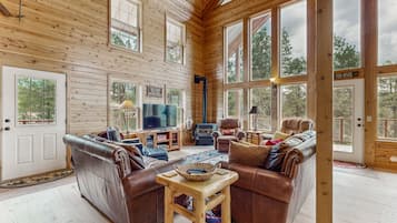 Télévision, cheminée, lecteur de DVD, table de tennis de table