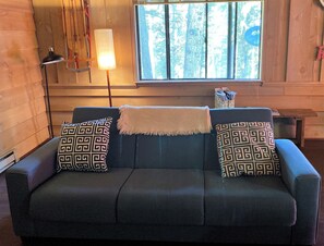 TV, fireplace, DVD player, books