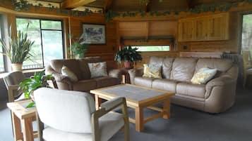 TV, fireplace, books