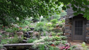 A garden with a pond, rocks, and various plants.