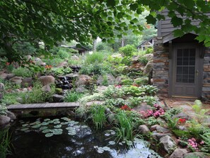 Property grounds - FOREST GARDENS GETAWAY B&B (Watersmeet)