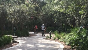 A paved pathway surrounded by lush greenery and trees.