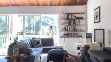 Smart TV, fireplace, books