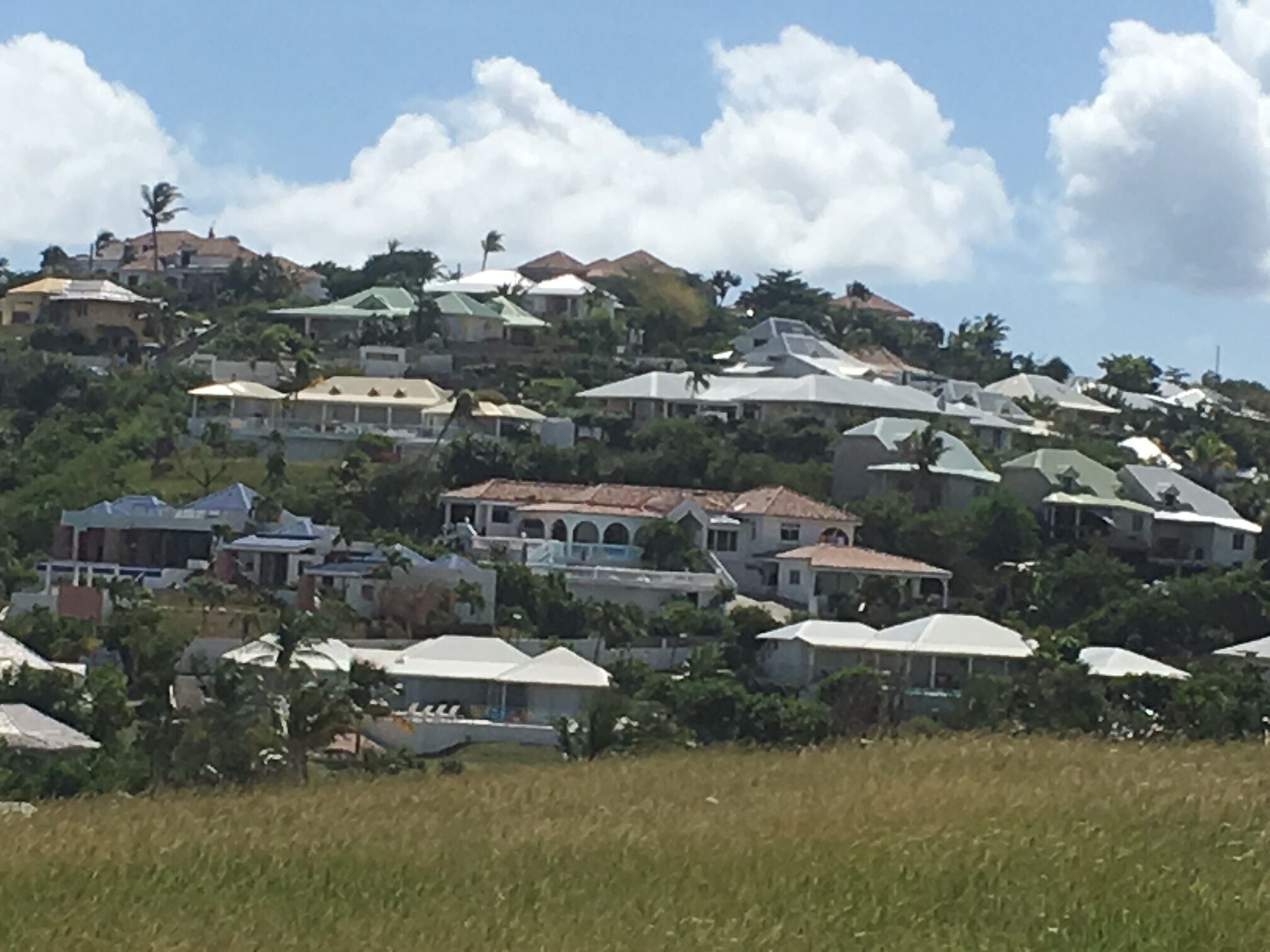 A hillside residential area with houses, some with sloped roofs and others with flat roofs, surrounded by greenery and trees.