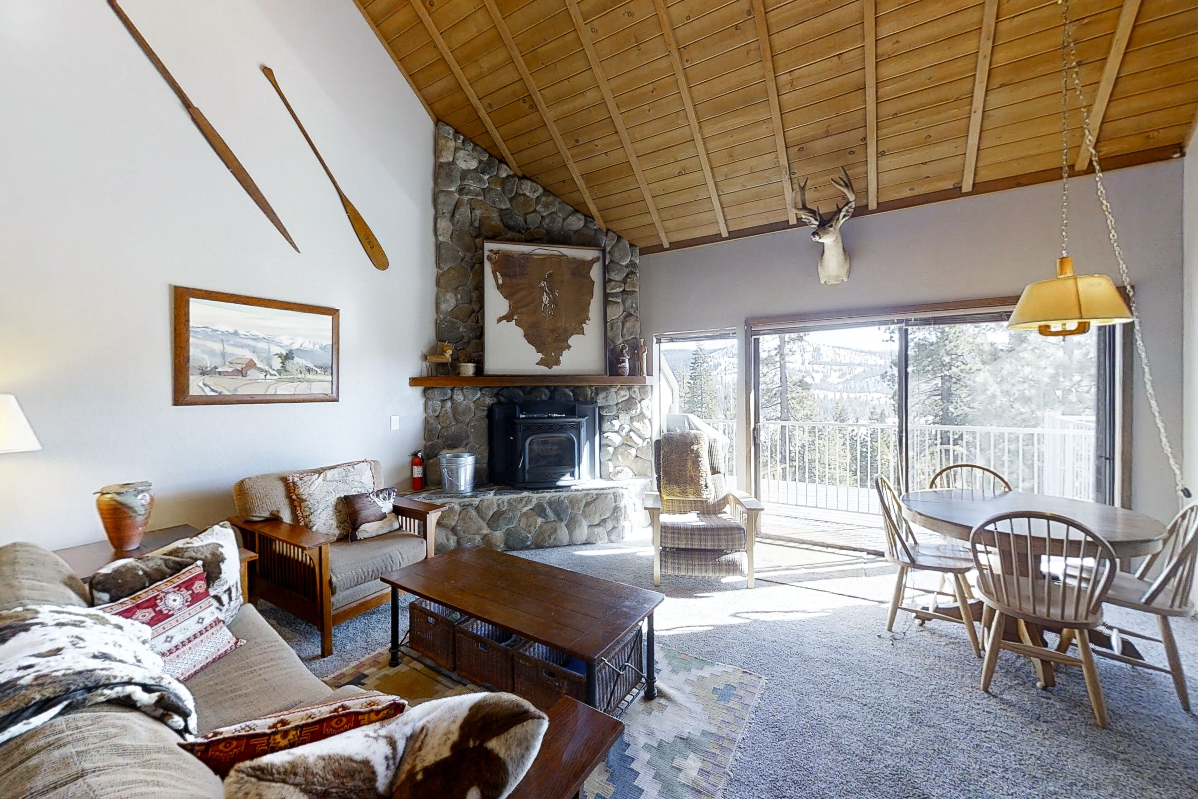 Televisión y videoteca 