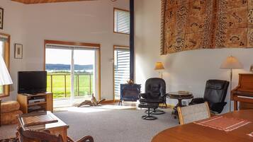 TV, fireplace, DVD player, books