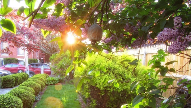 A well-maintained garden with trimmed hedges, a stone pathway, and flowering plants.