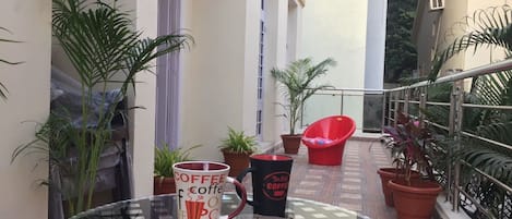 Terraza o patio