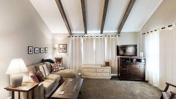 Télévision, cheminée, chaßne hi-fi