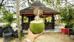 Una mano sostiene un coco verde con una pajita, frente a una estructura de madera con un letrero que dice 'Coconut Bar'.