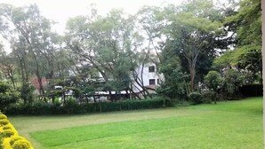 A well-maintained lawn with a neatly trimmed hedge on the left and a fence in the background. - Samaritan Homes (Nairobi)