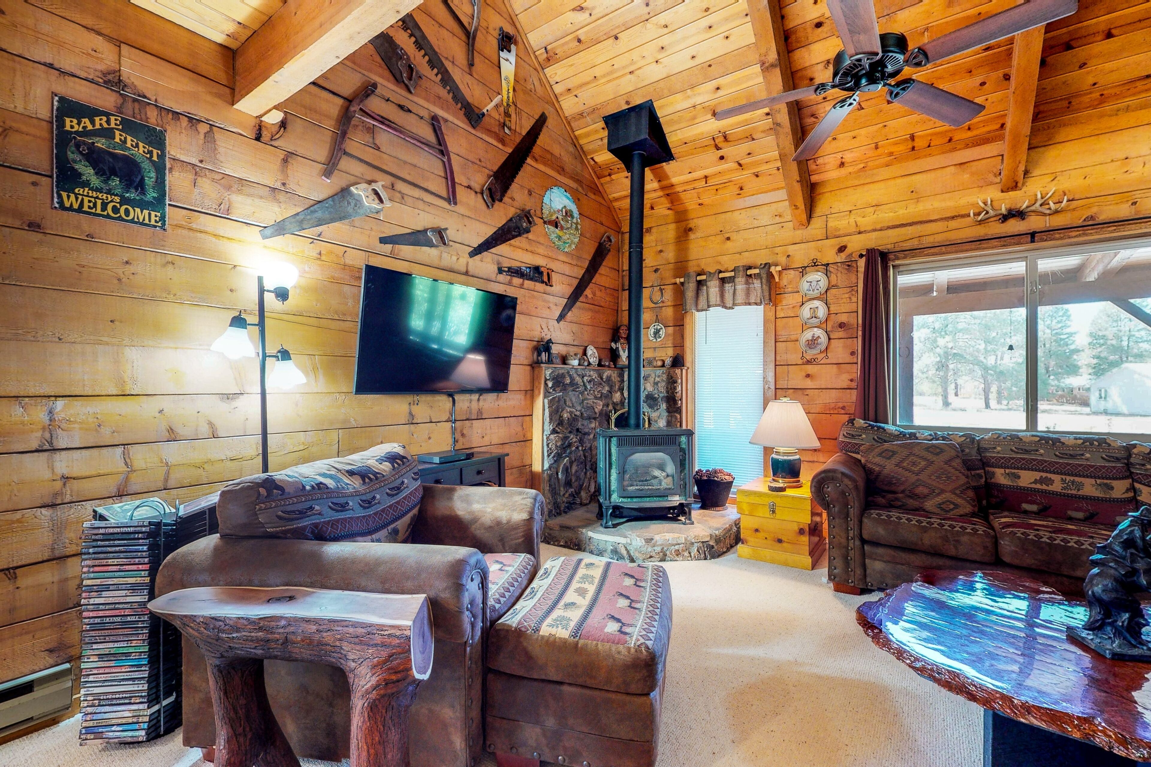 TV, fireplace, books