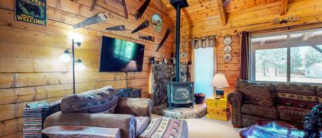 TV, fireplace, books