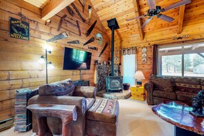 Télévision, cheminée, livres