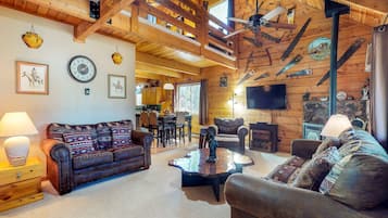 TV, fireplace, books