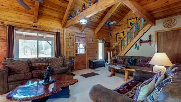 TV, fireplace, books