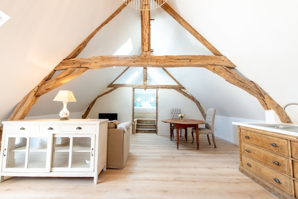 Comfort Studio (Le Nid) | Living area | Flat-screen TV