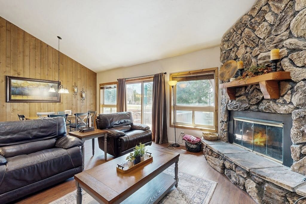 Televisión, chimenea y reproductor de DVD 