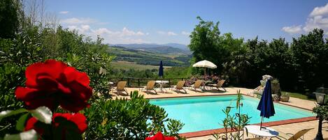 Seasonal outdoor pool, open 7:30 AM to 9:00 PM, sun loungers