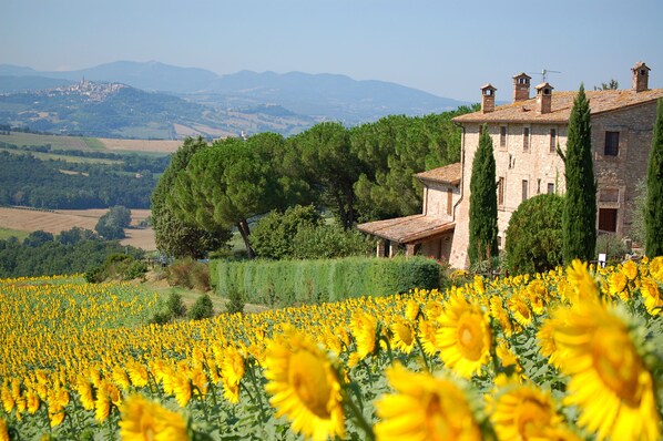 Utsikt fra overnattingsstedet