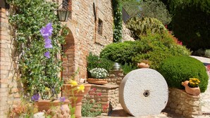 A courtyard with a brick wall, potted plants, and a large stone wheel. - Agriturismo Casale dei Frontini (Todi)
