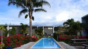A rectangular swimming pool with a wooden deck, surrounded by red flowering plants and palm trees, with modern buildings in the background.