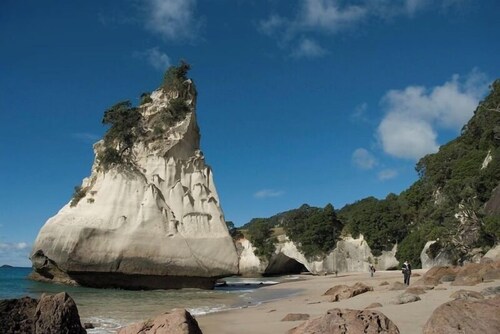 Modern beach front apartment at Aqua Soleil complex with lap pool & spa.