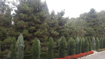 Căn hộ, 1 giường đôi | Quang cảnh từ phòng