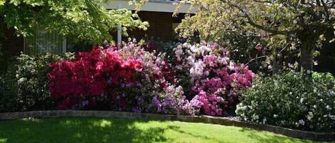 Áreas de la propiedad