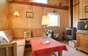 Télévision, cheminée