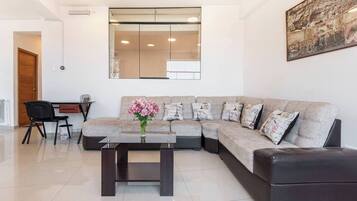 Smart TV, fireplace, DVD player, video library