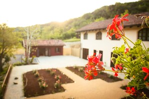 A house with a garden and a pathway leading to it.