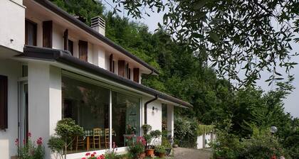 B&B La Casa in Collina