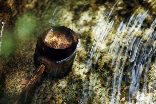 ガーデン ビュー