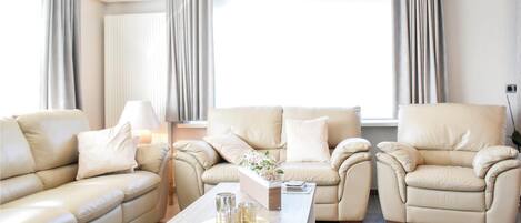 电视、壁炉、DVD 播放器