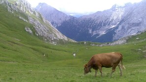 Unclassified image, 2 of 20, button