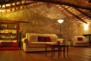 Suite | Sala d'estar | Televisor de pantalla plana i llibres