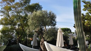 Un jardín con un sendero pavimentado, un cactus grande y dos estructuras blancas con forma de barco y sombrillas.