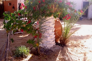 Garden - Hébergement Proche de Désert à Douz (Douz Nord)