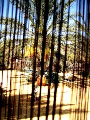 View from property - Hébergement Proche de Désert à Douz (Douz Nord)