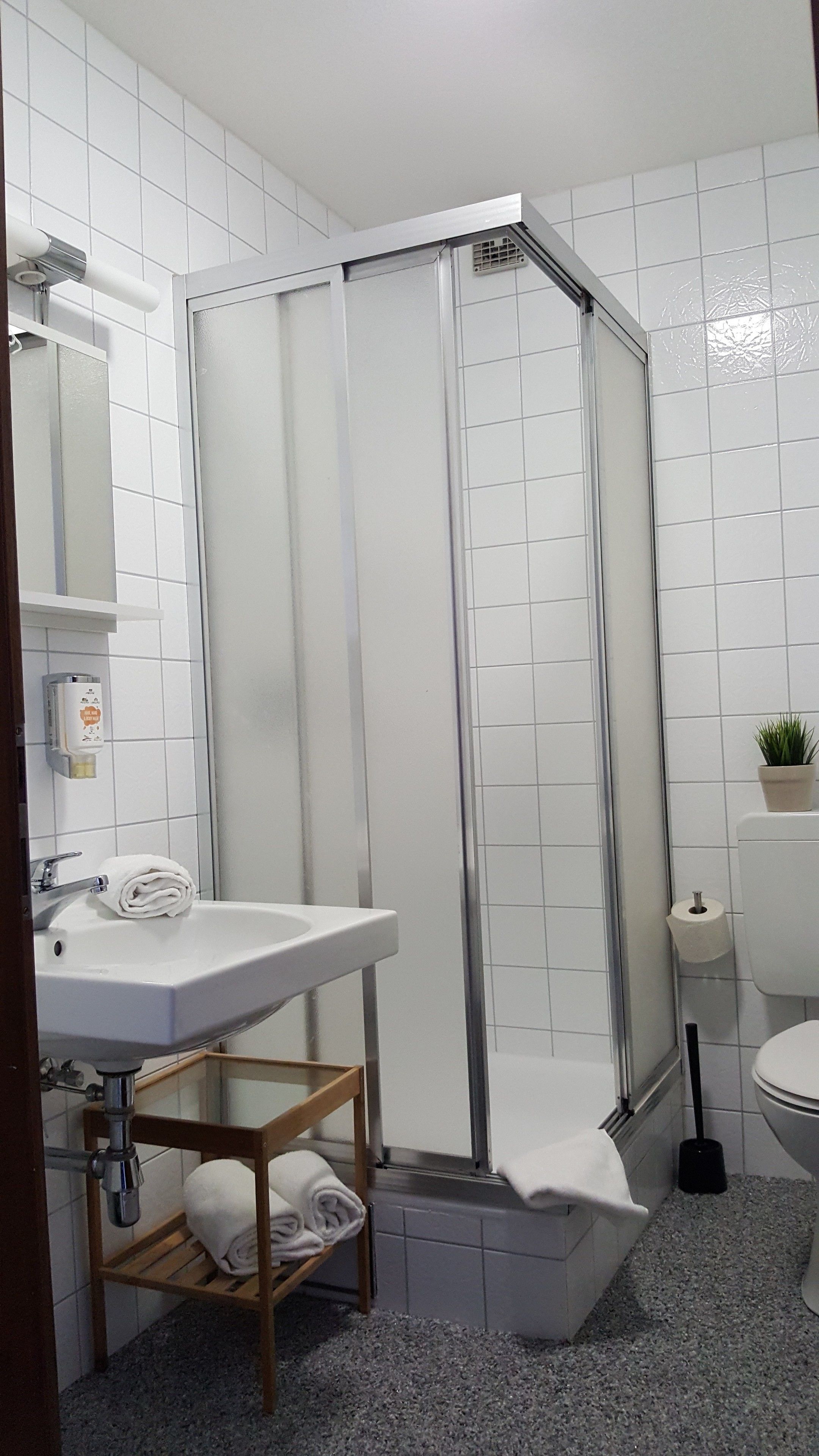 A bathroom with a white sink, a mirror, a shower enclosure, a toilet, and a small potted plant.