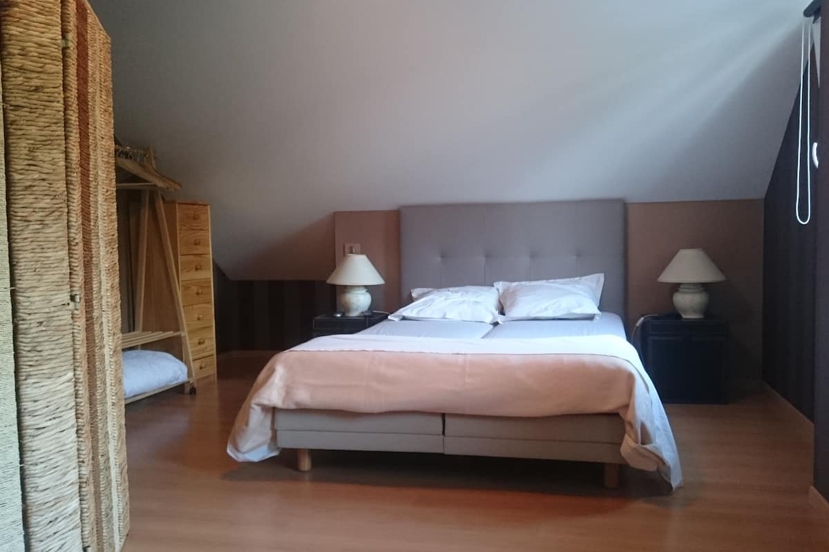 Habitación doble | Minibar, cortinas opacas, tabla de planchar con plancha y wifi gratis