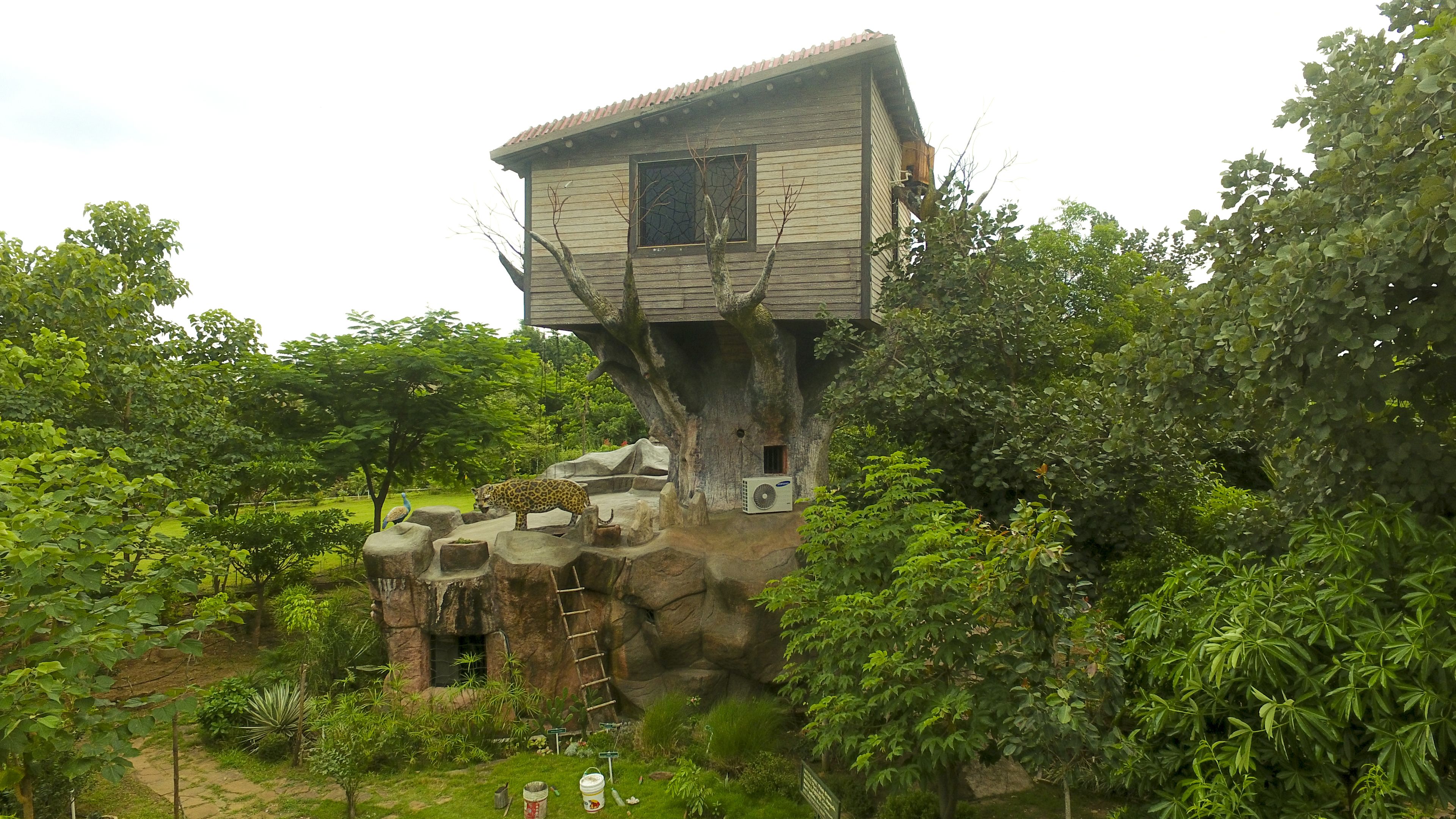 A treehouse with a wooden exterior, built into a large tree, featuring a small window and a ladder leading up.