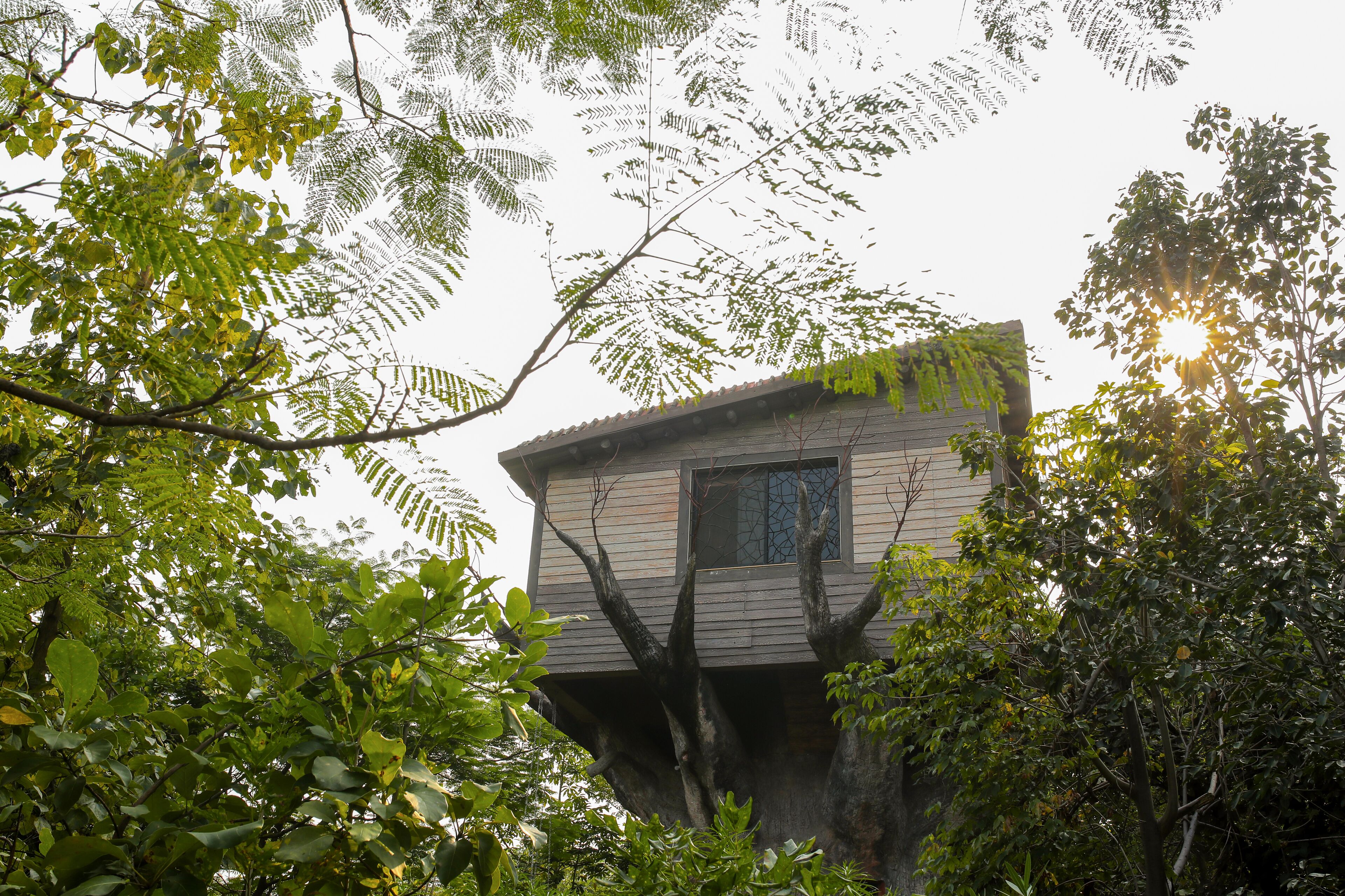 إطلالة الغرفة