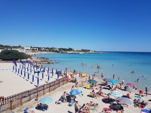 Playa