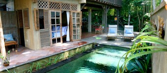 Artist Eco Villa In Ubud Bali