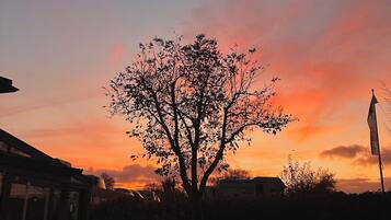 A tree silhouetted against a sunset sky, a building with a sloped roof, and a flagpole with a flag.