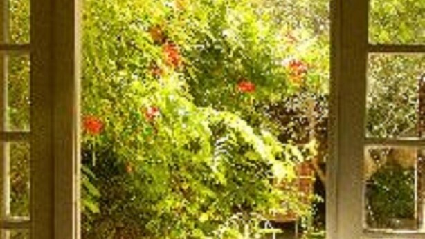 Studio (Courtyard) | Terrasse/patio