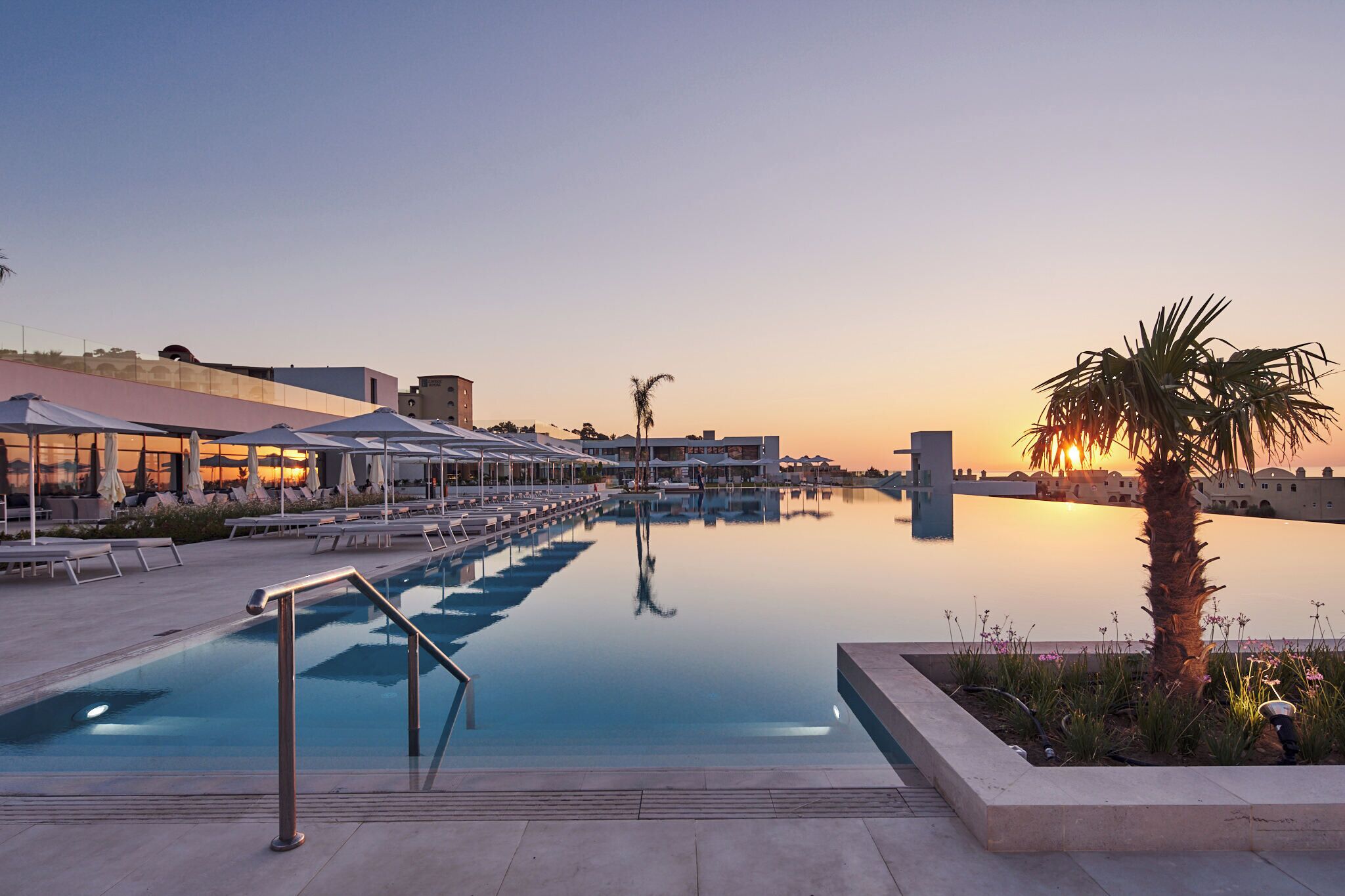 A swimming pool with lounge chairs and umbrellas, surrounded by buildings and palm trees.